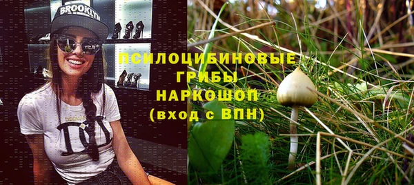 ECSTASY Белокуриха